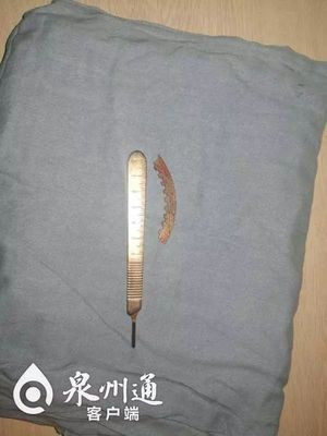 飛來(lái)的致命鋸齒 工廠切割機(jī)意外引發(fā)的安全警鐘